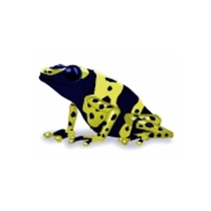 Yellow Dart Frog